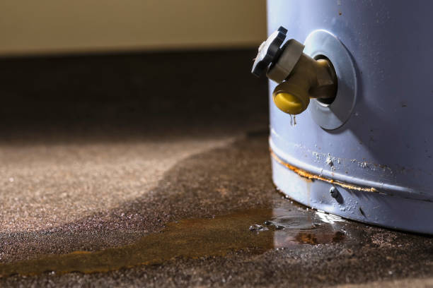 Best Professional water damage repair  in Garrett, WA