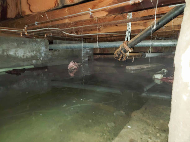 Best Water damage restoration company  in Garrett, WA