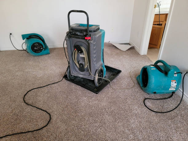 Best Ceiling water damage repair  in Garrett, WA