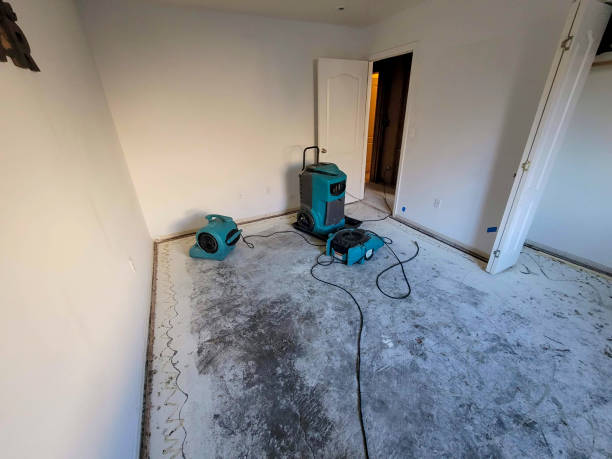 Best Water damage restoration experts  in Garrett, WA